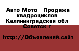 Авто Мото - Продажа квадроциклов. Калининградская обл.,Советск г.